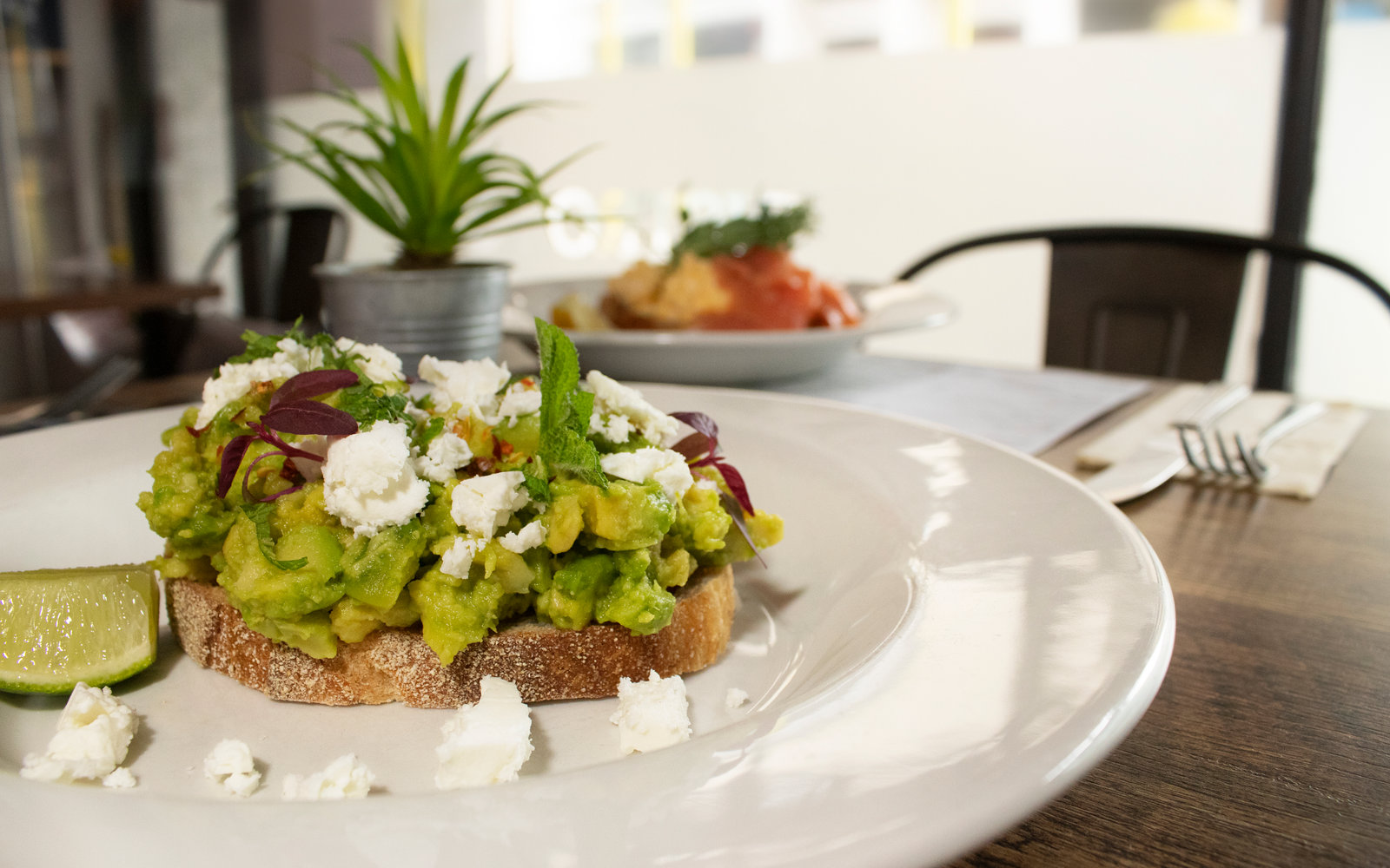 Smashed avocado and feta on sourdough, dressed with chili oil and lemon, the brunch plate at Salcombe Coffee Company