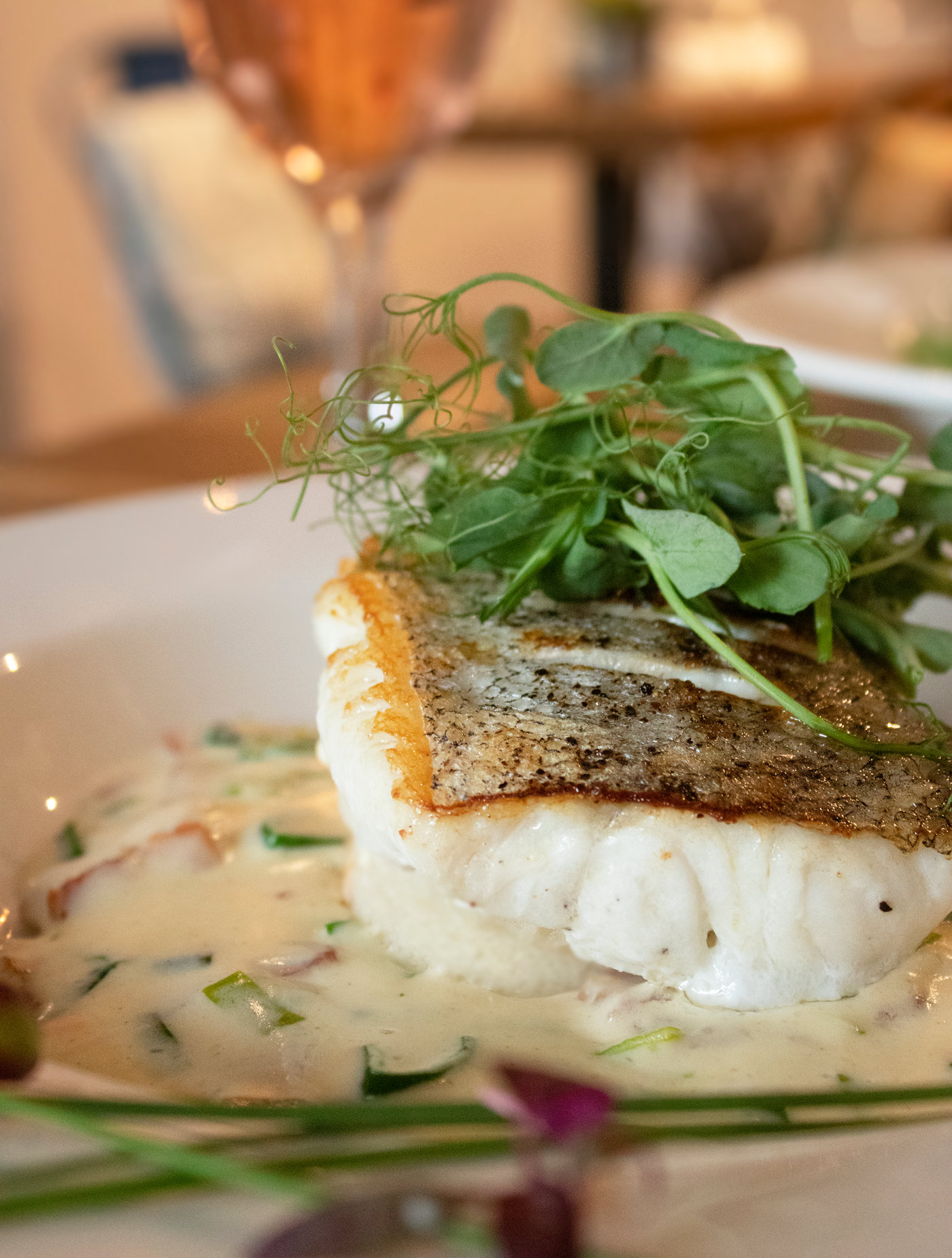 Plated fish main from the evening bistro at Salcombe Coffee Company, white fish with a green herb sauce, summer vegetables, on a wide ceramic plate